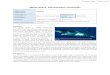 White Shark, Carcharodon carcharias - fish · PDF file White Shark, Carcharodon carcharias Report Card assessment Depleted IUCN Red List Australian Assessment Refer to Global Assessment