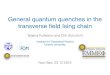 General quantum quenches in the transverse ﬁeld Ising chainprodanvc/seminari/Tatjana Puskarov.pdf · Transverse Field Ising chain H = J XN i=1 x i x i+1 + g z i 1) Jordan-Wigner