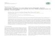 Adenosine Receptor A1-A2a Heteromers Regulate EAAT2 ...downloads.hindawi.com/journals/ppar/2020/2410264.pdf · 2.6. EYFP-A1AR Plasmid, A2aAR siRNA, YY1 siRNA, and HDAC1 siRNA Transfection