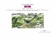 Cambodia - DOF Traveldoftravel.dk/sites/default/files/Cambodia Februar-Marts 2017.pdf · endemiske arter (Cambodian Tailerbird) og 5 af de truede arter (Milky Stork, White-shouldered