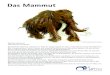 mammut urmu 2020 - backend.unesco-welterbetag.de · Mammut am Ende der Eiszeit in die kalten Gebiete abwanderte. Mammuthus Primigenius Die 2 Zentimeter dicke Haut und eine 10 Zentimeter