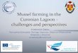 Mussel farming in the Curonian Lagoon ‐ challenges and ......O Conchophthirus acuminatus (Clapare`de& Lachmann, 1858) O Ophryoglena sp. O Infestation level with nematodes is rather