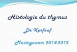 Histologie du thymusuniv.ency-education.com/uploads/1/3/1/0/13102001/histo2an27-thymus… · Histologie du thymus Dr Kerfouf Mostaganem 2014-2015 . I. Introduction -Organe lymphoïde