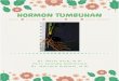 HORMON TUMBUHAN - repository.uki.ac.idrepository.uki.ac.id/1579/1/Hormon Tumbuhan.pdf · 1.1 Pengertian Hormon Hormon berasal dari salah satu kosakata bahasa Yunani (bahasa Gerika)