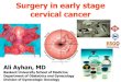 Surgery in early stage cervical cancer...2014/01/05  · Surgery in early stage cervical cancer Ali Ayhan, MD Baskent University School of Medicine Department of Obstetrics and Gynecology