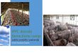 IPPC dozvola farme živine i · PDF file 2016. 10. 7. · Zaštita zemljišta i podzemnih voda- postojeće stanje • Za postojeće objekte za skladištenje, opisati nalaze bilo kakvih
