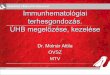 Immunhematológiai terhesgondozás. UHB megelőzése, kezeléseovsz.hu/sites/ovsz.hu/files/kepzes_debrecen/Molnar_Immun... · 2015. 5. 20. · Minden terhes szerológiai vizsgálata