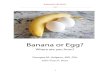 Banana or Egg? - Dr. Georgesthe Western borders. They came and raped most women; the husbands were instructed to welcome the resulting offsprings, and raise them as good, faithful