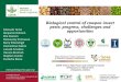 Biological control of cowpea insect pests: progress ......Biological control of cowpea insect pests: progress, challenges and Manuele Tam ò opportunities Benjamin Datinon Elie Dannon
