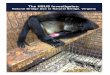 The HSUS Investigates...went undercover at the Natural Bridge Zoo (NBZ), a tawdry and troubled roadside zoo located in rural Natural Bridge, Virginia, and owned and operated by Karl
