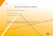 STUDIEPLAN - site.uit.no...2019/02/25  · Språk og kommunikasjon (BLU-1210), 20 studiepoeng Forsterkning (alt. 2): Natur, lek og læring (BLU-1211), 20 studiepoeng 3. studie-år