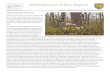 Wild Vegetation of West Virginia Heath...Wild Vegetation of West Virginia Revised 4 April 2017 Comments and Questions? Contact James.P.Vanderhorst@wv.gov Oak / Heath Forests These