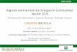 Aspetti ambientali del biogas in Lombardia: studio LCA...DiSAA - Università degli Studi di Milano Lab. Suolo e Ambiente, via Celoria 2, 20133 Milano Lab. Biomasse e Agroenergia, Parco