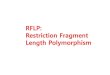 RFLP: Restriction Fragment Length Polymorphismamborella.net/2013-MolecularPhylogeny/007-RFLP-RAPD-AFLP.pdfobsolete, RFLP analysis was the first DNA profilingtechnique inexpensive enough