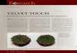 VELVET TOUCH - Michigan State Universityarchive.lib.msu.edu/tic/gcnew/article/2009jun72a.pdfVELVET TOUCH Researchers consider velvet bentgrass as an alternative to creeping bentgrass,