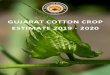 GUJARAT COTTON CROP ESTIMATE 2019 - 2020 - Gujcot Crop Estimate 201… · Gujarat cotton crop is estimated as 1,06,94,302 Bales out of which 2,75,000 Bales will be of V-797 rest will