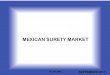 MEXICAN SURETY MARKET · 2019. 10. 10. · Actuarial function Technical design and feasibility. Underwriting reserves. Methodology and models. Define underwriting policy and reinsurance/surety