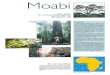 Plq. Moabi 4pV3 - Archive ouverte du Cirad - Agritropagritrop.cirad.fr/508179/1/document_508179.pdf · du Nigeria, au sud du Cameroun, au Gabon, en République démocratique du Congo