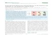 Tuning Bacterial Attachment and Detachment via the ... · KEYWORDS: antifouling, polymer brushes, pH-responsive polymers, bacterial attachment, bacterial detachment, Staphylococcus