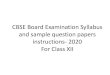 CBSE Board Examination Syllabus and sample question …...Project File 4 Marks Written Test 12 Marks (One Hour) Viva Voce 4 Marks OR Part B Computerized Accounting ... Unit III Chemical