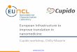 European Infrastructure to improve translation in nanomedicine€¦ · ID •Research Infrastructure funded under H2020 –«Starting community » •Grant agreement –#654190 •Funding
