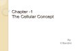 Chapter 2 The Cellular Concept · Contents. Introduction. Frequency reuse concept. Channel assignment strategies. Handoffs strategies. Interference and system capacity Trunking and
