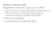 Section 2. Nucleic acids. Lesson (6) 1. Structural ...biogen.chuvsu.ru/uch_2_biol/carantin/Lesson 6 2020 angl.pdfSection 2. Nucleic acids. Lesson (6) 1. Structural organization of