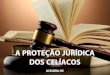 proteção jurídica dos celíacos · 2018. 11. 26. · 6 Existem no Brasil Leis, Resoluções, Códigos, Estatutos e Programas que amparam os Cidadãos Celíacos, seja em relação