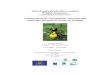 Conservation of Cypripedium calceolus and Saxifraga ... · kista esiintymistä on täytetty uhanalaiskortti, joka on toimi-tettu myös Suomen ympäristö-keskukseen (SYKE) Hankkeen
