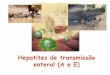 Hepatites de transmissão enteral (A e E)virologia.sites.uff.br/.../12/aula_hepatite_a_e_e_2013.pdf · 2017. 12. 10. · 4- Marcadores sorológicos da hepatite A Anti-HAV IgM:-É