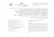 New Sitio web de la Universidad de Cádiz - Ximena Lagos , Cecilia … · 2020. 1. 24. · construcción de redes de actores y procesos de gober - nanza como base para una gestión
