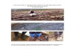 Discovery Study on Footing and Footwear in the BC ...wfca.ca/.../uploads/2015/03/Footing- Footing and
