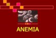 ANEMIA - adhkediri.ac.idadhkediri.ac.id/media/file/23028061212ASKEP_ANEMIA_ERNA.pdf · Penurunan produksi sel darah merah Rendahnya produksi SDM karena defisiensi faktor yang berperan