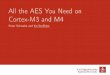 All the AES You Need on Cortex-M3 and M4 - Peter Schwabe ...howard/SAC_SLIDES/slides_Schwabe.pdf · MakingAESsoftwarefast–results Algorithm Speed (cycles) ROM (bytes) RAM (bytes)