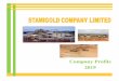 Introduction - stamigold.co.tzstamigold.co.tz/documents/Stamigold_Company_Profile.pdf · “We are a national growing gold company, targeting at producing quality gold in a cost-effective