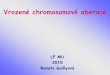 Vrozené chromosomální aberace - Masaryk University€¦ · •plod-hygroma colli, hydrops •nižší por.váha a délka •nízká vlasová hranice •lymfedémy •pterygia •cubiti