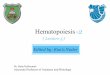 Hematopoiesis...Hematopoiesis Dr. Heba Kalbouneh Associate Professor of Anatomy and Histology Edited by: Rua’a Nader တတတတတတတတ { Lecture 5 }-2 Granulopoiesis (Neutrophils,