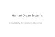 Human Organ Systems - marcher.weebly.com · Human Organ Systems Circulatory, Respiratory, Digestive. The Circulatory System •The circulatory system picks up and transports nutrients