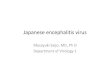 Masayuki Saijo, MD, Ph D Department of Virology 1 · Masayuki Saijo, MD, Ph D Department of Virology 1. Topics • JE epidemiology in Japan • JE vaccines • JEV genotype V (JEV