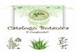 Catalogo Botanica Il Crogiuolo - labirinto magico · Il potere magico è concentrato nelle foglie e nei semi che sono usati come spezia in cucina. Questi ultimi sono impiegati in
