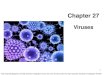 Chapter 27wtyler-irsc.weebly.com/uploads/1/9/8/6/19866611/chapter... · 2019. 9. 7. · Viral hosts • Viruses are obligate intracellular parasites in every kind of organism investigated