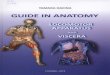 PDF13 - library.usmf.md · 6 1 GUIDE IN ANATOMY Aging and Joints - Tamara Hacina . 165 . 166 167 .... 167 174 .. 175 .... 176 177 180 181 181 .181 182 182 .. 185 . 186 . 187