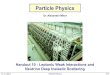 Particle Physics - University of Cambridge · 2018. 11. 5. · Dr. A. Mitov Particle Physics 320 Neutrino Scattering •In handout 6considered electron-proton Deep Inelastic Scatteringwhere