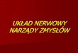 UKŁAD NERWOWY NARZĄDY ZMYSŁÓW · 2020. 3. 26. · I- Nervus olfactorius- węchowy II- Nervus Opticus - wzrokowy III- Nervus Oculomotorius - okoruchowy IV- Nervus Trochlearis -