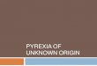 PYREXIA OF UNKNOWN ORIGIN · 2020. 7. 6. · Original Definition (by Petersdorf and Beeson,1961) Temperatures ≥ 38.3ºC (101ºF) on several occasions Fever ≥ 3weeks Failure to