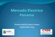 Sandra Stella Fonseca Arenas Septiembre 2009...Del total de empleados en el sector eléctrico en el año 2008, el 43 % son empleados de las distribuidoras, 18 % de la empresa de transmisión