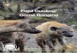 Field Guiding/Game Ranging ONLINE - WildlifeCampus Guiding... · FGASA is an accredited Training assessor with CATHSSETA (The Culture, Arts, Tourism, Hospitality and Sports Education