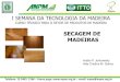SECAGEM DE MADEIRAS - Home - PIMADS - Secagem de... · PDF file 2017. 2. 17. · 7. manutenÇÃo do secador a manutenÇÃo preventiva do secador deve ser feita nos mesmos moldes da