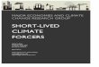 SHORT-LIVED CLIMATE FORCERSsites.utexas.edu/mecc/files/2013/10/slcf_april82014_formatted.pdf · , meaning that mitigation of SLCFs will slow global warming faster than mitigation