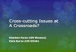 Cross-cutting Issues at A Crossroads?...Cross-cutting Issues History and Context Towards ‘people-centered’ approach and action Challenges Ramifications – positive and negative